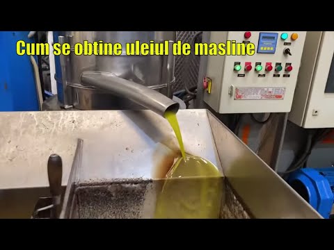 Video: Cum Se Face Ulei De Măsline
