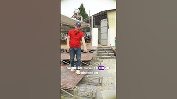 "Giải Mã" Cách Làm Rạp Cưới Tiết Kiệm Mà Vẫn "Sang - Xịn - Mịn"! DELAVU EVENT