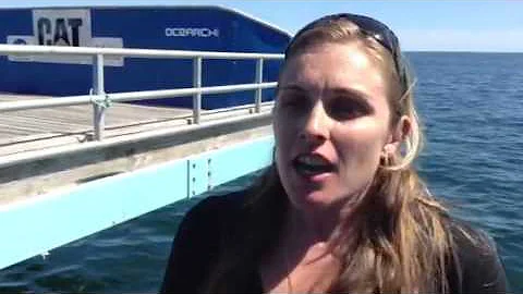 On The Spot #27 - Shannon Corrigan Grice Marine La...