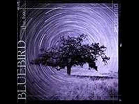 Bluebird — 2 Friends - Bluebird