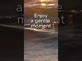 A gentle moment