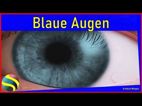 Video: Blaue Augen sind das Ergebnis einer Mutation