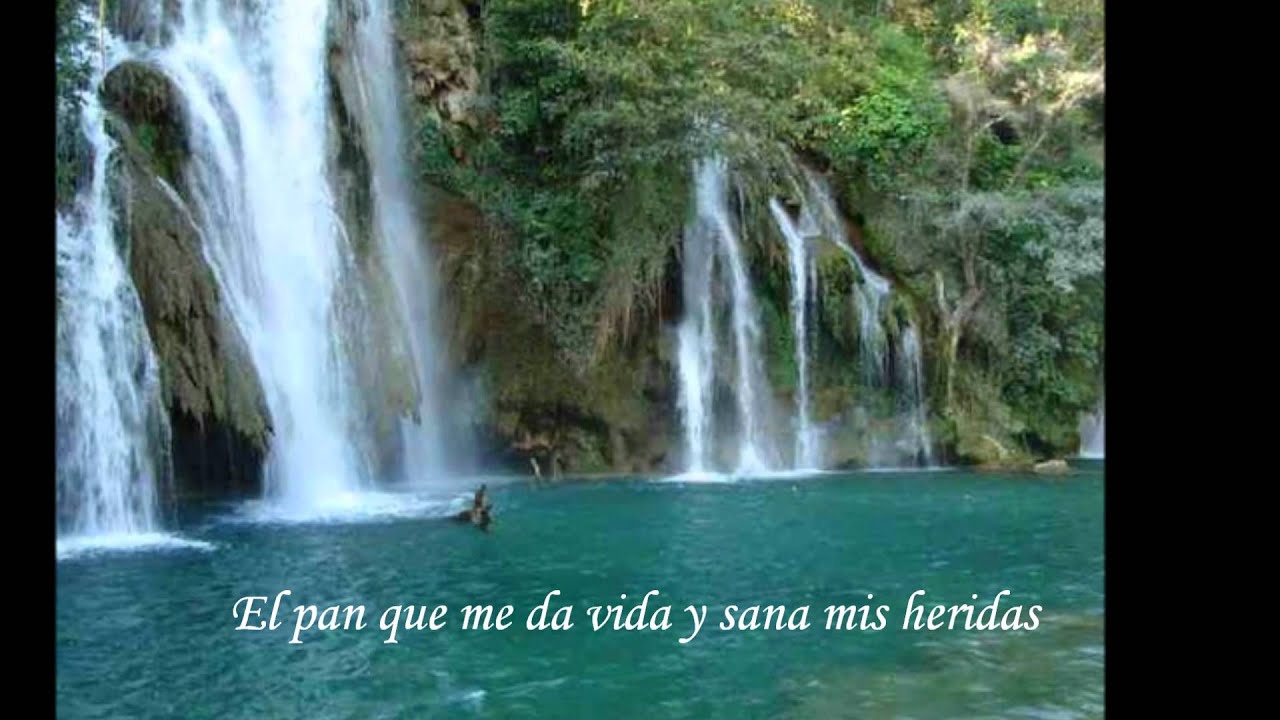 Rene Gonzalez - Tu presencia