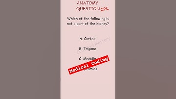 CPC Exam Anatomy question. Let