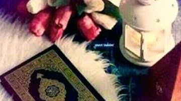 صوت وتلاوة تأخذك الى عالم الخيال \سورة القلم بصوت القارئ سالم الرويلي