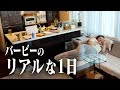 【妊娠中】バビたんのリアルな1日
