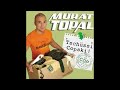 Hörbuch: Tschüssi Copski! Ein Cop packt ein - Murat Topal Hörbuch