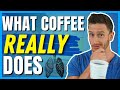 You Won’t Drink Coffee After Watching This (why it’s so addicting)