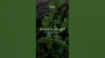 {إِنَّ ٱلَّذِینَ یُلۡحِدُونَ فِیۤ ءَایَـٰتِنَا لَا یَخۡفَوۡنَ} | محمد صديق المنشاوي | سورة فصلت.