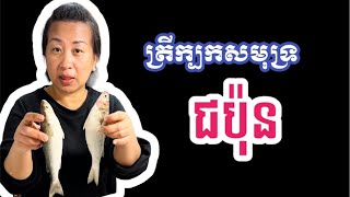 ត្រីក្បកសមុទ្រជប៉ុន | Japanese sea fish