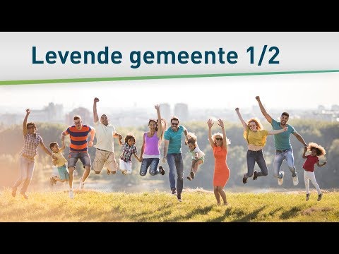 Video: Motorwenas: variëteite en kenmerke