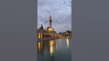 { كَلَّاۤ إِنَّ ٱلۡإِنسَـٰنَ لَیَطۡغَىٰۤ } سورة العلق - الشيخ محمد صديق المنشاوي