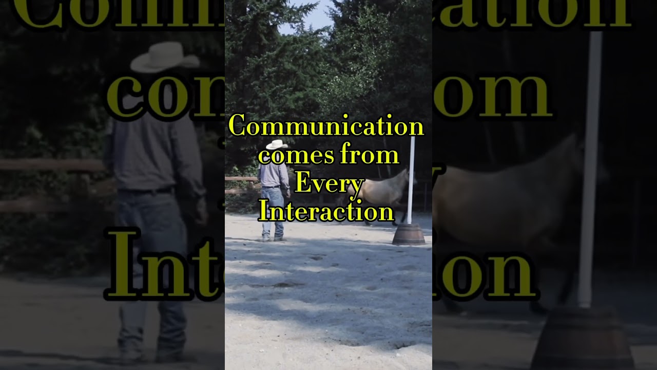 Every second spent with a horse is an opportunity