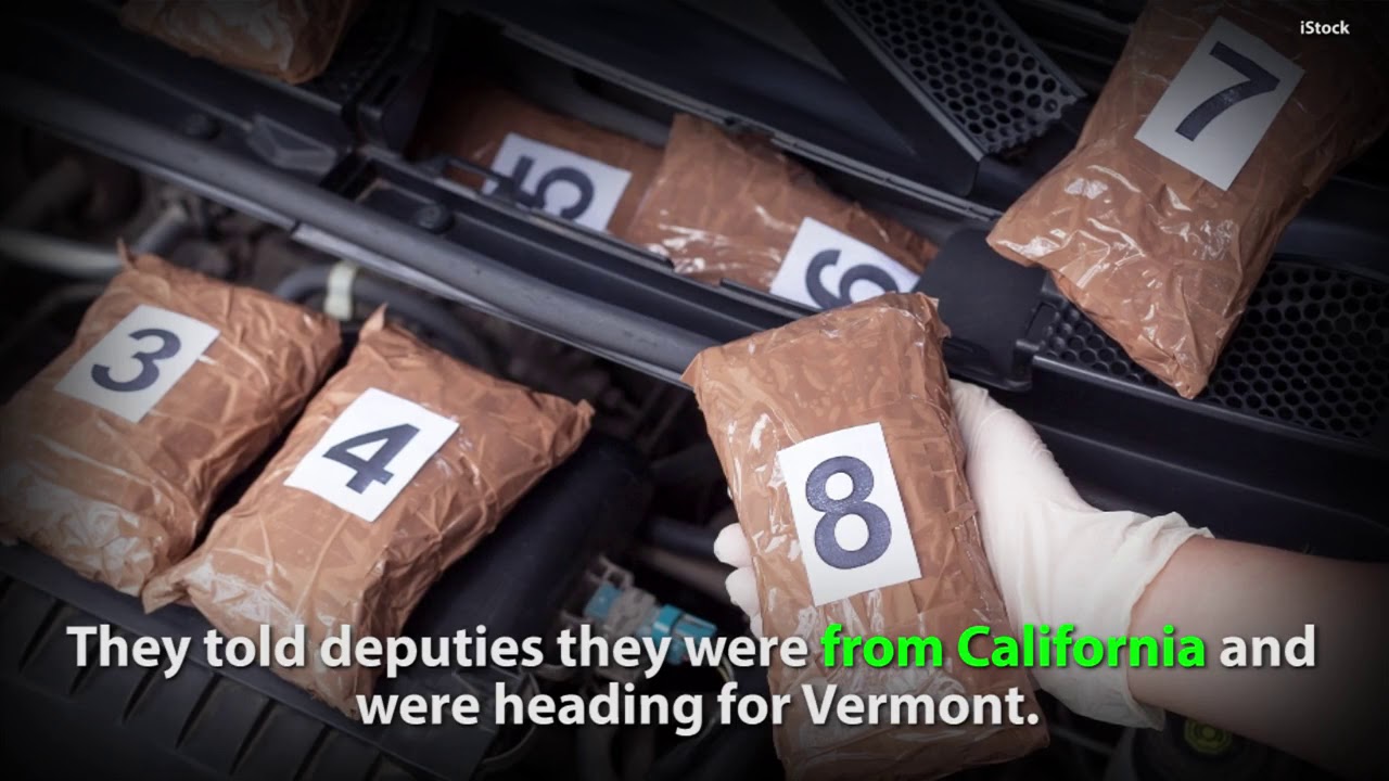 Couple Who Had 60 Pounds Of Marijuana Said It Was For Christmas Gifts