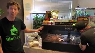 How to setup a Bioactive Indonesian (Halmahera) Blue Tongue Skink terrarium with PVC caging