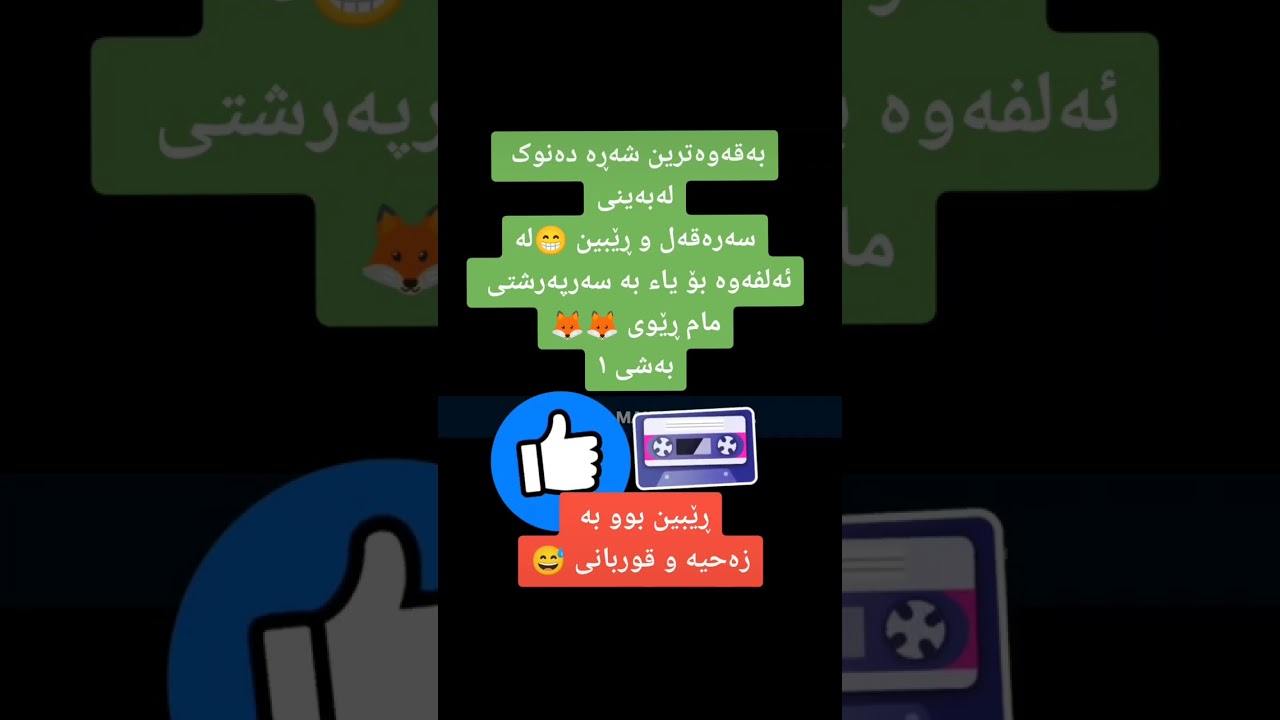 شەڕە دەنوکی سەرەقەل و ڕێبین 😁 لە ئەلفەوە بۆ یاء 😁 ڕێبین بوو بە زەحیە و قوربانی هههههه بەشی ١