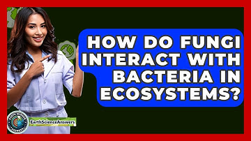How Do Fungi Interact With Bacteria In Ecosystems? - Earth Science Answers