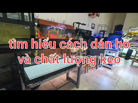 Video: Cách sử dụng keo dán bể cá: hướng dẫn từng bước. Keo dán bể cá khô trong bao lâu?