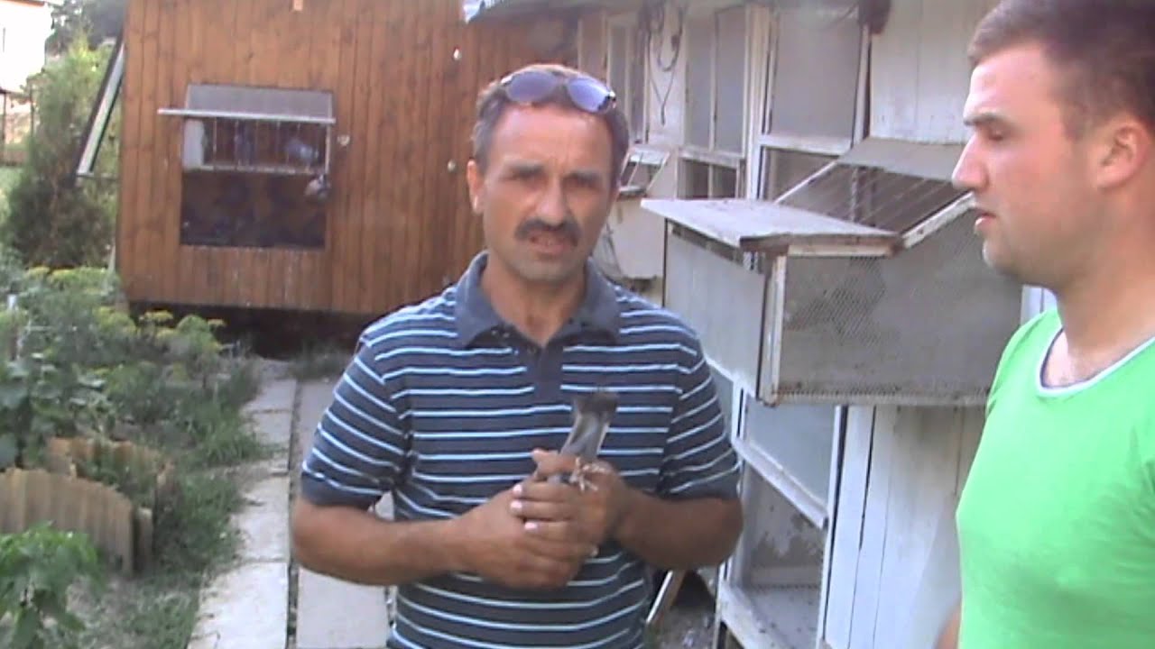 Víťaz NP Gotha 2013 - J. & R. Poništiak