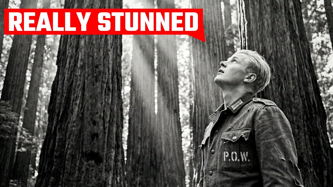 German POWs in California Were Taken to See the Redwoods - The Massive Trees Left Them Stunned