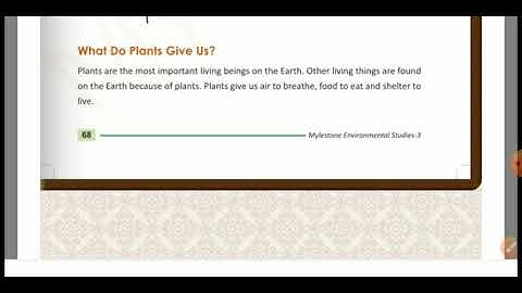 Mylestone class 3 EVS  chapter 6