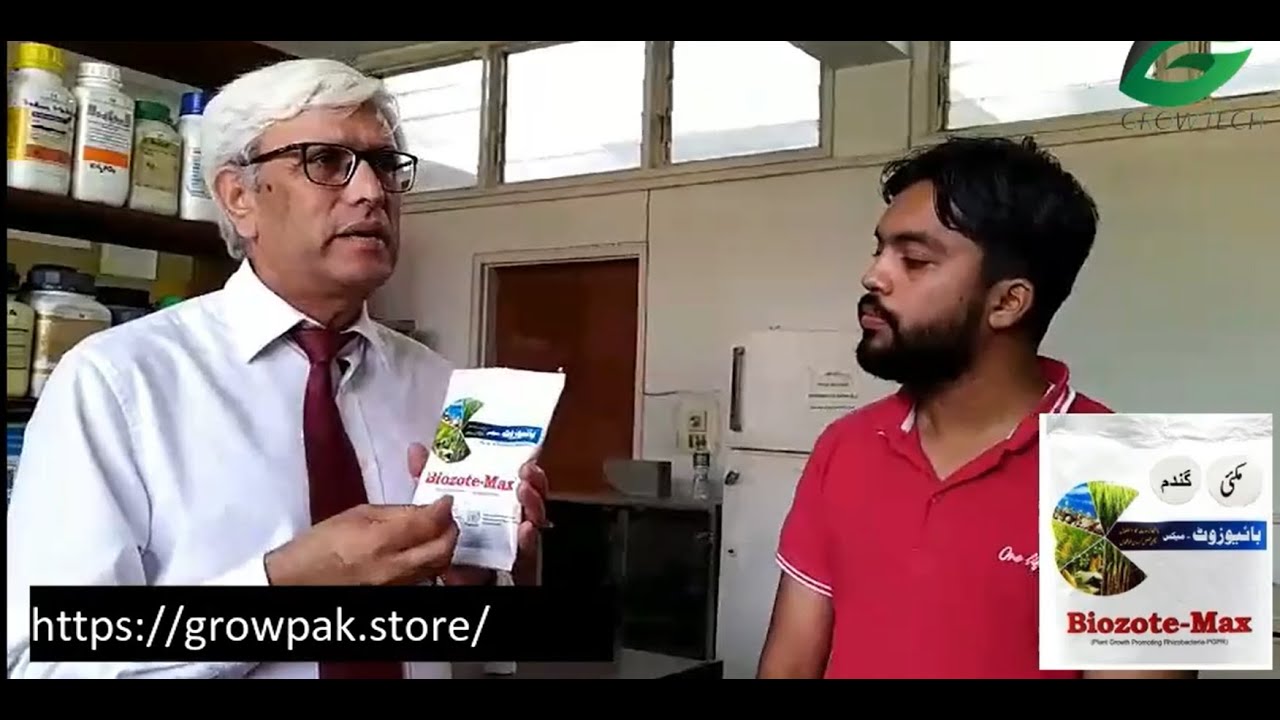 Biozote is a game-changer for wheat farmers - YouTube