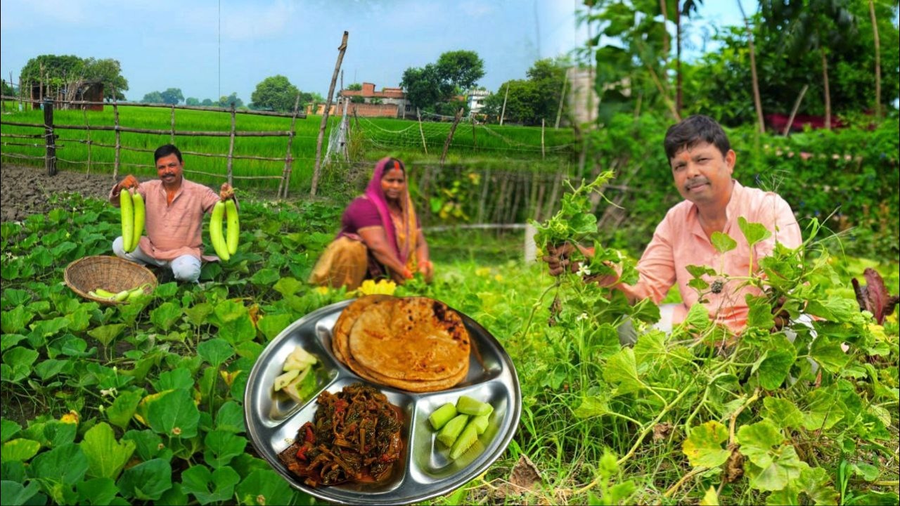 लौकी के पत्ते की सब्जी ऐसे बनाइये जो मटन और चिकन के स्वाद को भी भुला दे लौकी Lauki/Gourd leaf