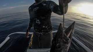 300 METERS DEEP SEA MONSTERS!! + DOUBLE KING MACKEREL! || SPEARFISHING PHILIPPINES!