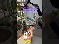 Hanpainted kurta for men!!!Dm To paint yours on instagram handle!! #trending #art #viral #drawing