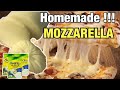 HOMEMADE MOZZARELLA CHEESE  USING POWDERED MILK | SUPER EASY | HOMEMADE MOZZARELLA CHEESE RECIPE