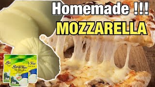 HOMEMADE MOZZARELLA CHEESE  USING POWDERED MILK??? | SUPER EASY | HOMEMADE MOZZARELLA CHEESE RECIPE