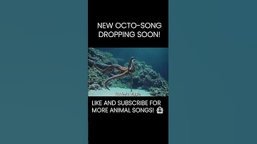 Thumbnail of 🐙 You Feel a Wiggle… That’s Me | Octopus Song Teaser 🌊🎶
