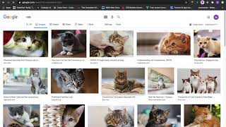 CS50 Web Programming With Python & JavaScript