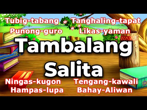 Video: Ples - ano ito? Interpretasyon ng salita