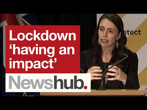 Ardern: NZ sees 'very similar' new COVID case numbers to previous day | Newshub