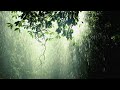 Instantly Fall Asleep With Rain And Thunder Sound At Night, 40 mins