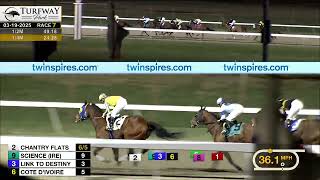 RACE 7 PROGRAM 3/19/2025