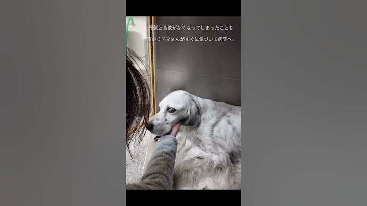 サニーが病気？