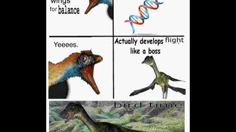 Genetic algorithms, the tidy way (and software development) - Part 2