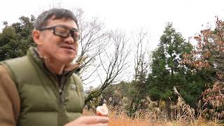 イカの燻製はどうなるのか