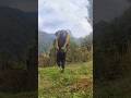 Maut ko chakma diya #death #meat #sick #comedy