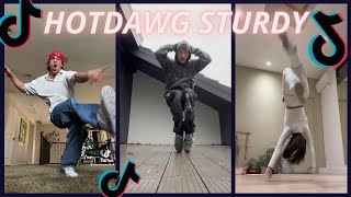 HOTDAWG STURDY 〰 new tiktok dance