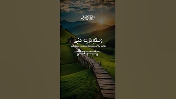 تلاوه رائعه من سورة آل عمران بصوت الشيخ سيد سعيد