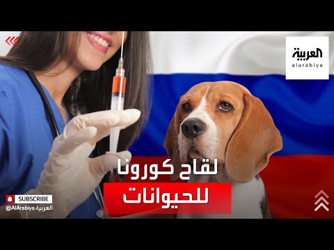 فيديو: هل تتمنى لو كان هناك عدد أقل من لقاحات الحيوانات الأليفة؟