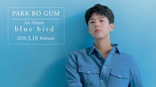 パク・ボゴム (PARK BO GUM)「Dear My Friend｣ 【MV_Teaser】