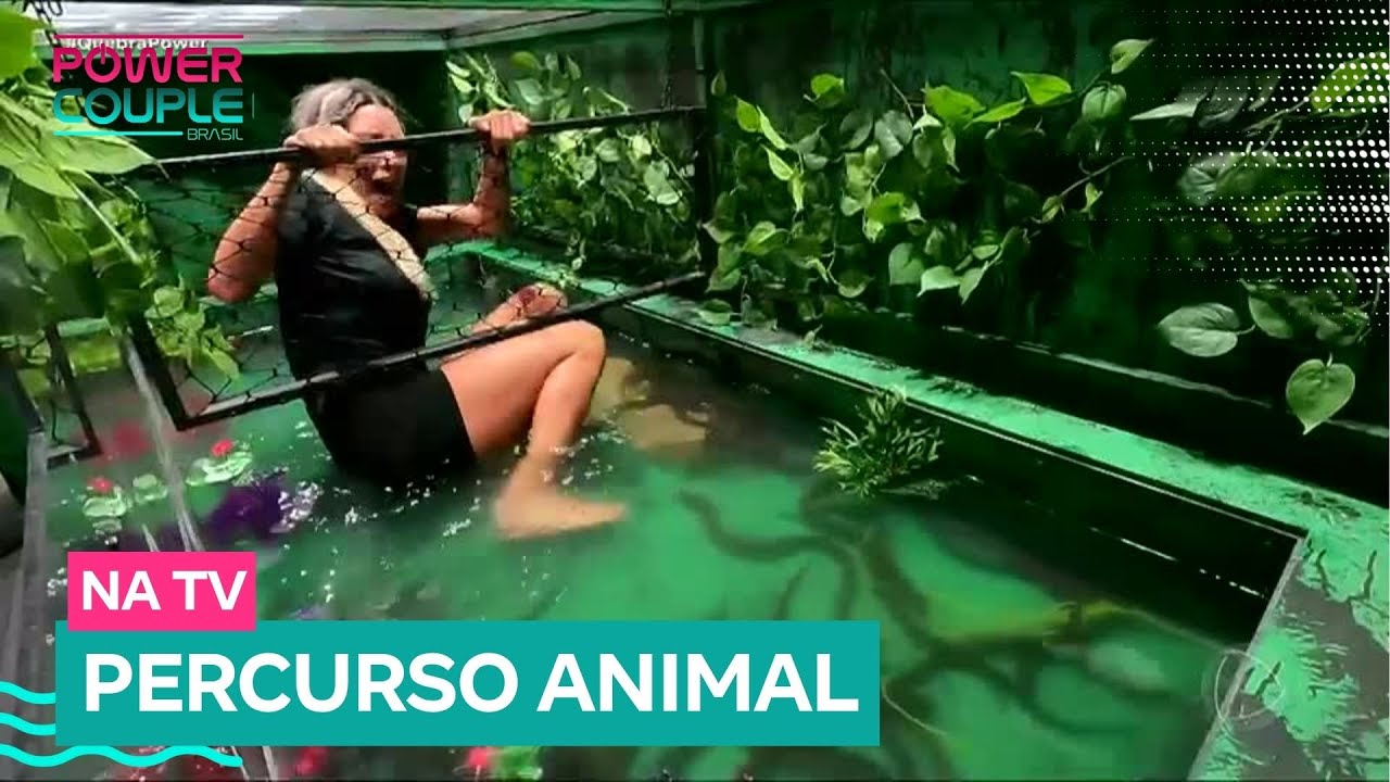 Esposas precisam passar por percurso cheio de bichos na Prova das Mulheres| Power Couple