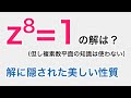 zのn乗=1 解に隠された美しい性質