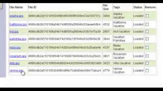 EMC Atmos Online and Struts Demo
