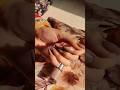 Mesmerizing look.  #ytshorts   #nails   #beauty   #debelle
