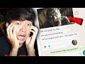 (PART 3) DIKEJAR 1000 ZOMBIE DAN KENA GIGIT 😱 | Chat History Horror Terseram